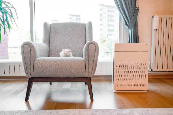 Indoor Air Quality Services